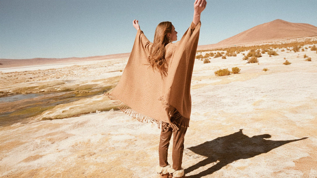 El refugio del origen